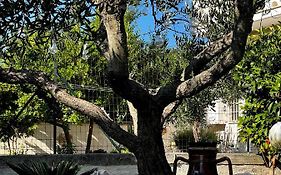 Casa Tesoro